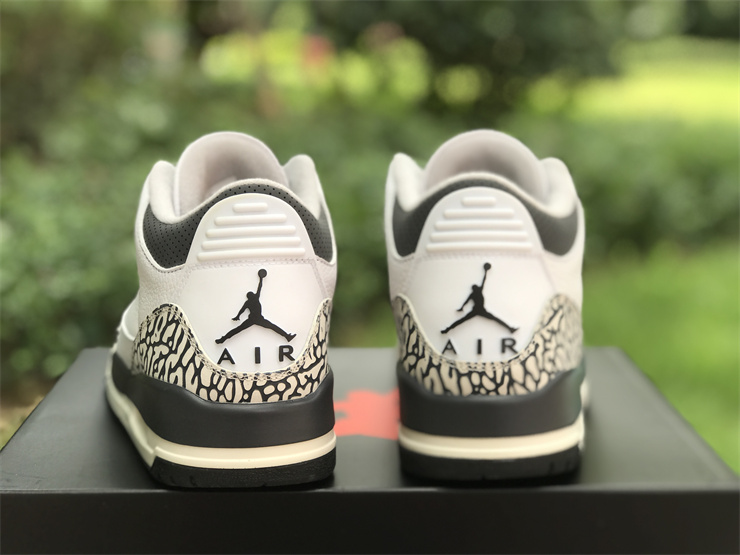 Air Jordan 3 GS “Hide N’ Sneak”