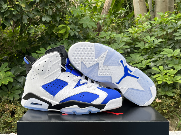 Air Jordan 6 Rouge blue