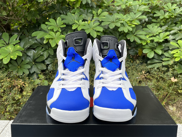 Air Jordan 6 Rouge blue