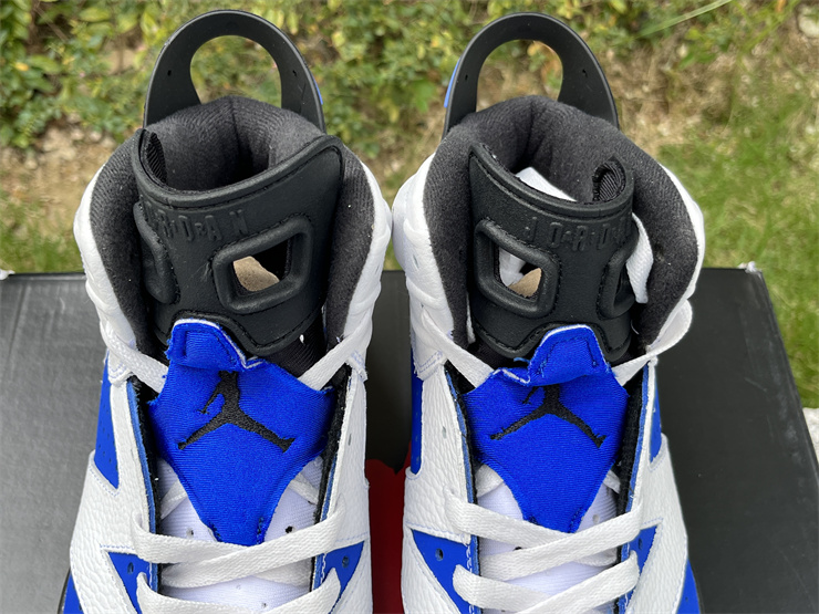 Air Jordan 6 Rouge blue