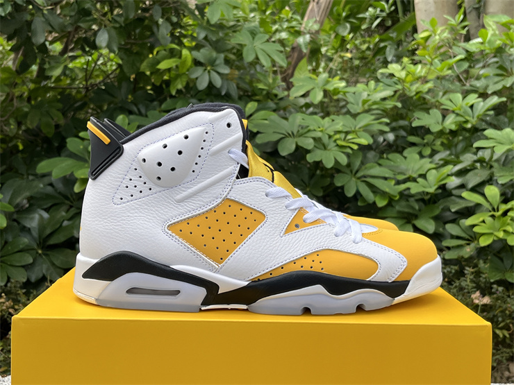 Air Jordan 6 