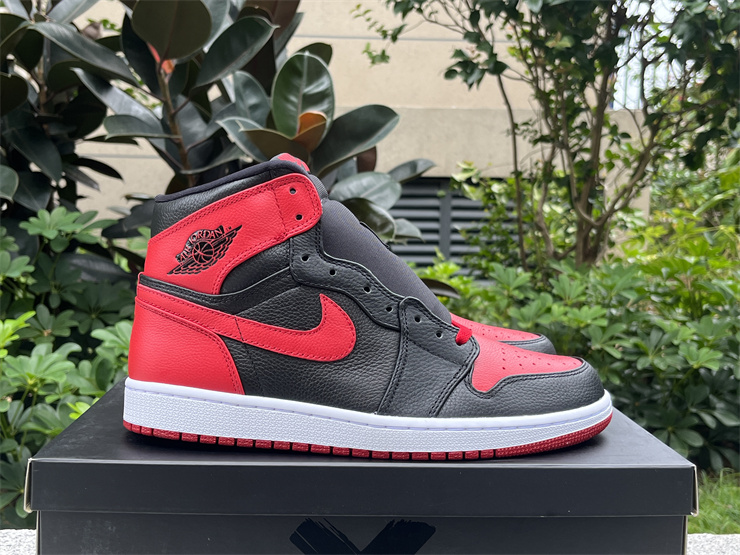 Air Jordan 1 “Banned”