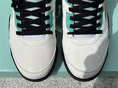 Air Jordan 5 “Island Green”