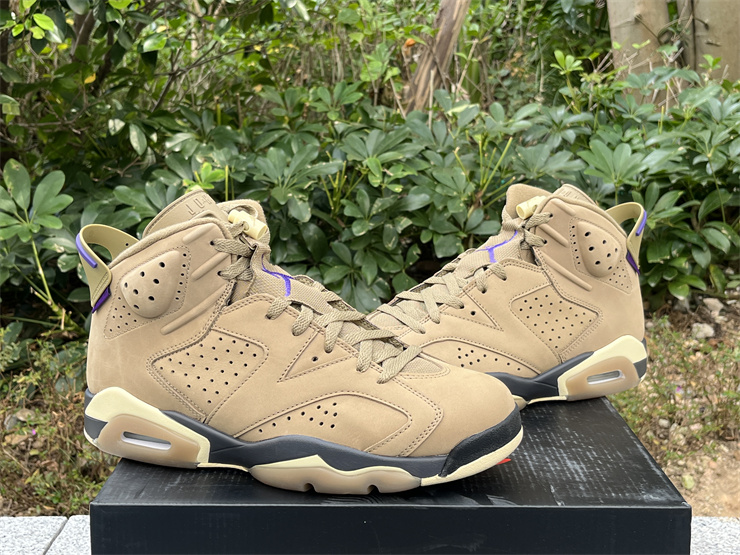 Air Jordan 6 Gore-Tex “Brown Kelp”