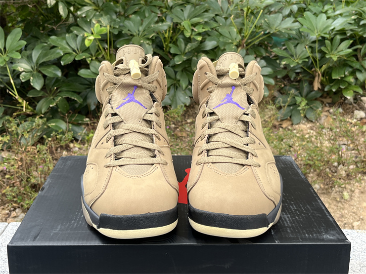 Air Jordan 6 Gore-Tex “Brown Kelp”