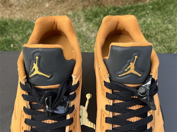 Air Jordan 5 Low “Chutney”