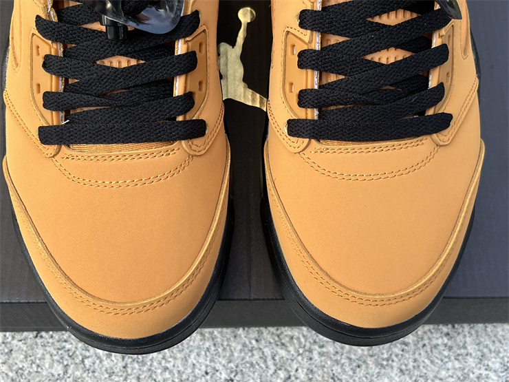 Air Jordan 5 Low “Chutney”