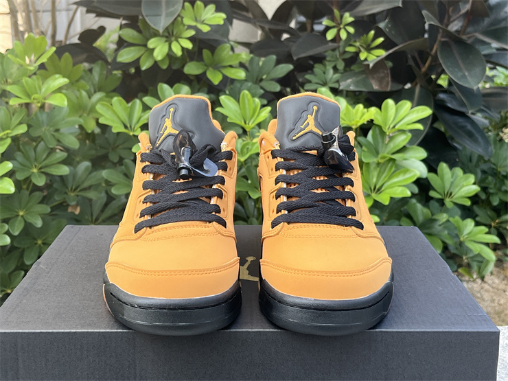 Air Jordan 5 Low “Chutney”