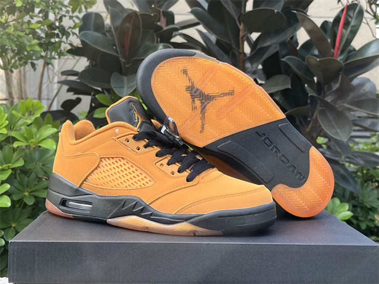 Air Jordan 5 Low “Chutney”
