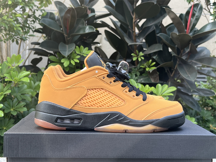 Air Jordan 5 Low “Chutney”