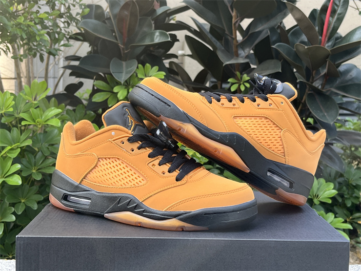 Air Jordan 5 Low “Chutney”