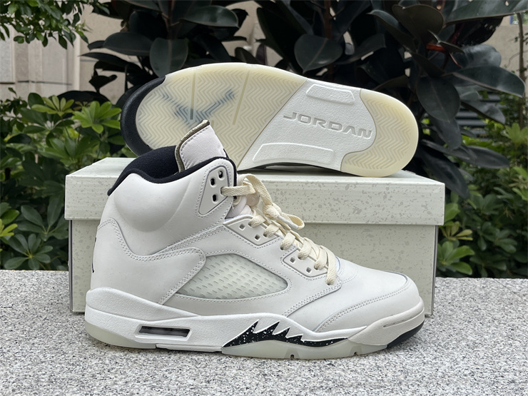 Air Jordan 5 SE “Sail”