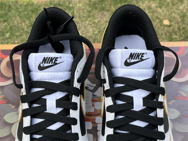 Nike Dunk Low FD9762-061