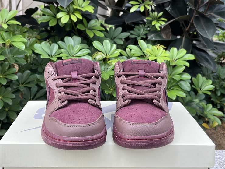 Nike SB Dunk Low Premium 