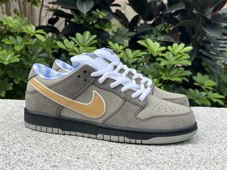 Concepts x Nike SB Dunk Low