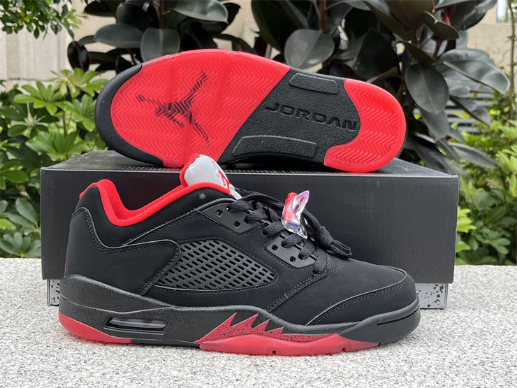 Air Jordan 5 Low “Alternate”