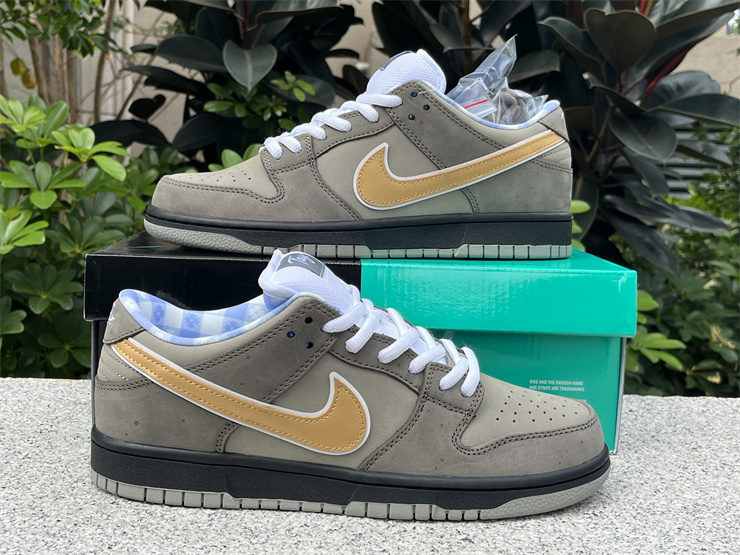 Concepts x Nike SB Dunk Low
