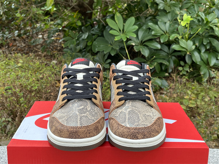 Nike Dunk Low CO.JP