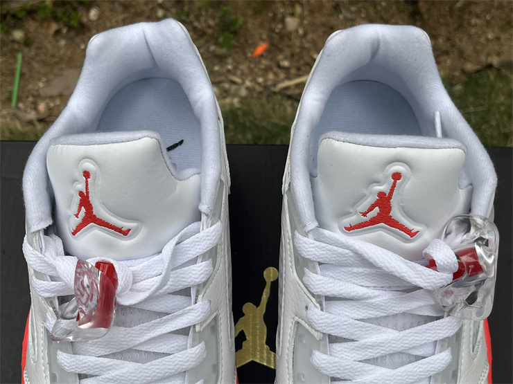 Air Jordan 5 Low FQ1316