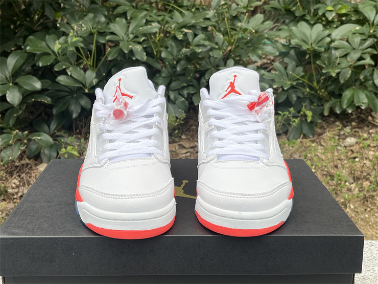 Air Jordan 5 Low FQ1316