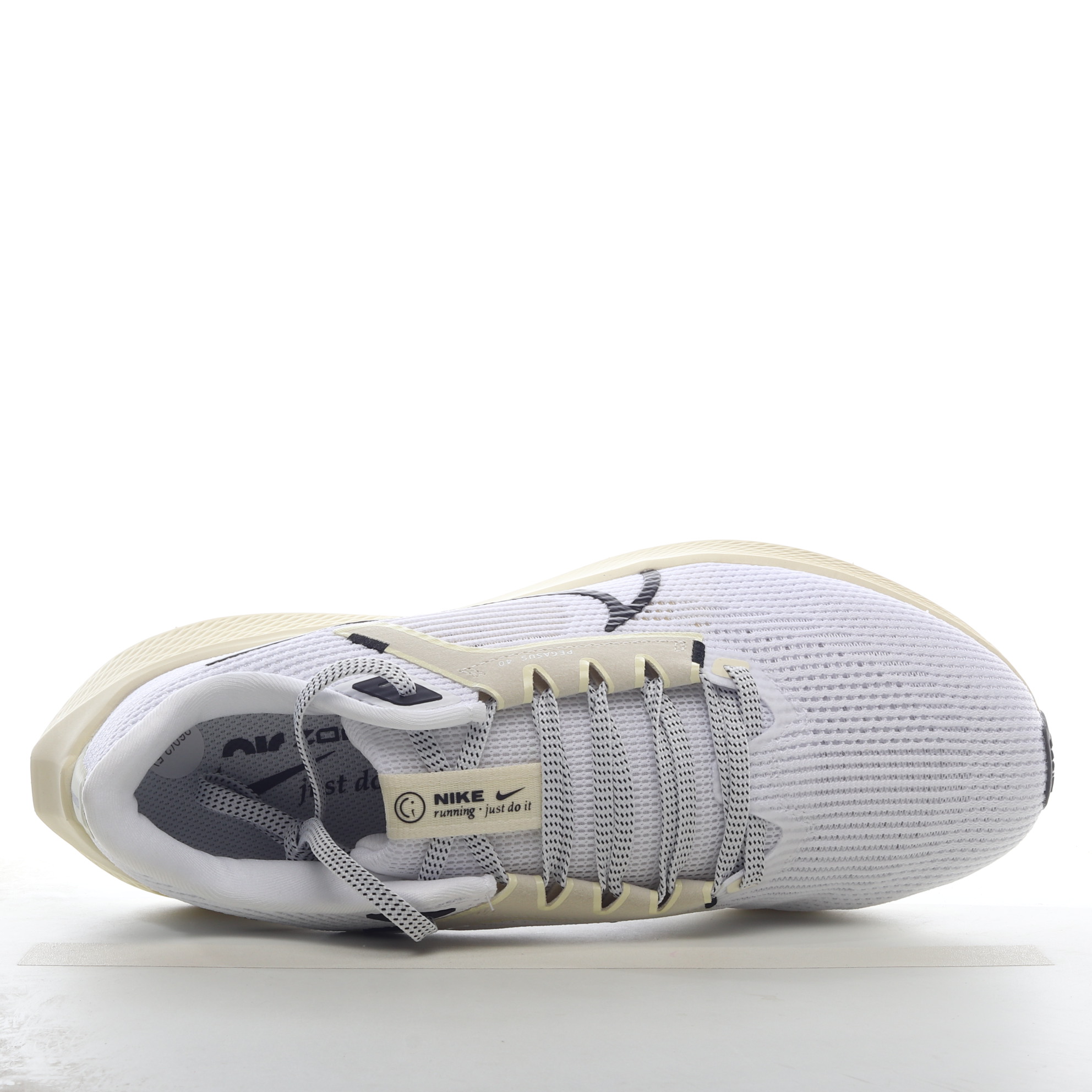 NK Zoom Pegasus DV3854-100