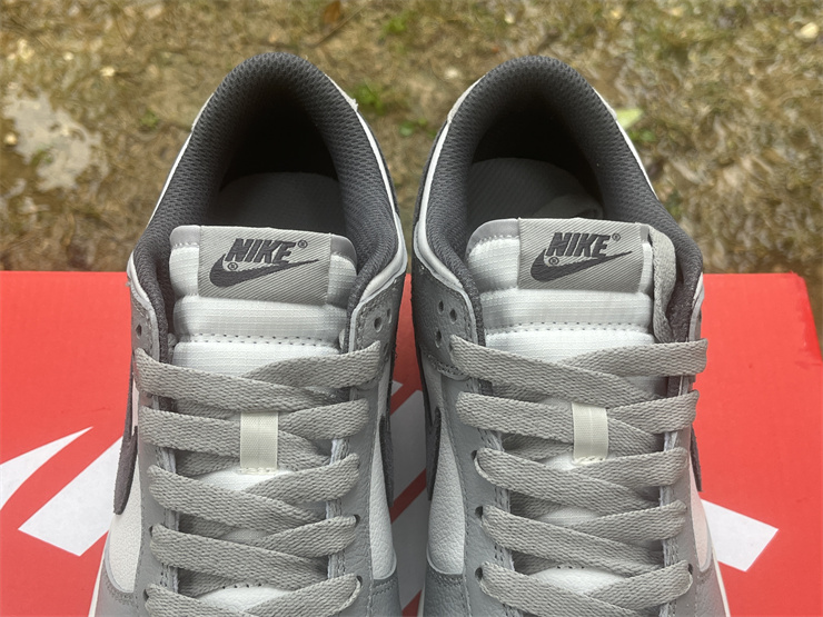 Nike Dunk Low SE FJ4188-100