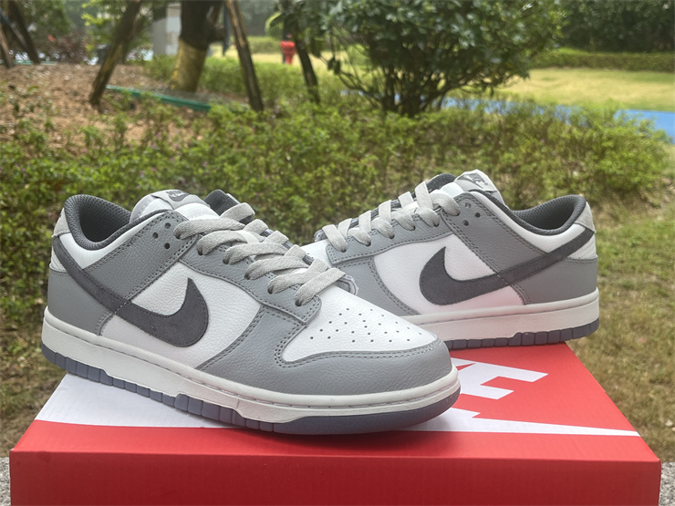 Nike Dunk Low SE FJ4188-100