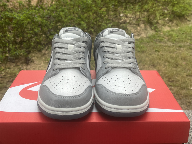 Nike Dunk Low SE FJ4188-100
