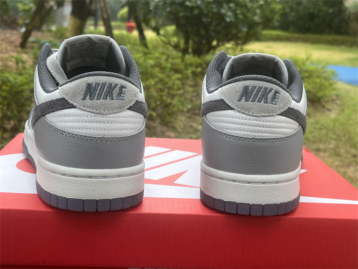Nike Dunk Low SE FJ4188-100