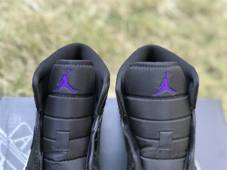 Air Jordan 1 Mid DV1308-004