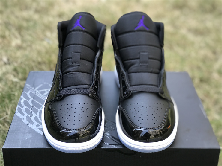 Air Jordan 1 Mid DV1308-004