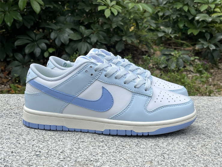 Nike Dunk Low Next Nature 