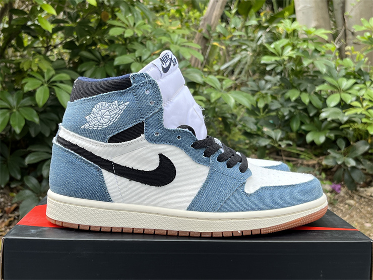 Air Jordan 1 High OG FQ2947-100