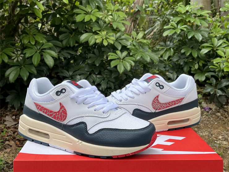 Nike Air Max 1 DH1348-146