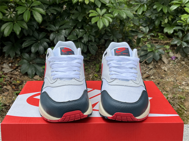 Nike Air Max 1 DH1348-146