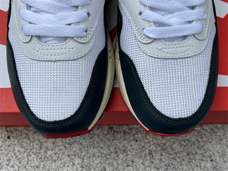 Nike Air Max 1 DH1348-146