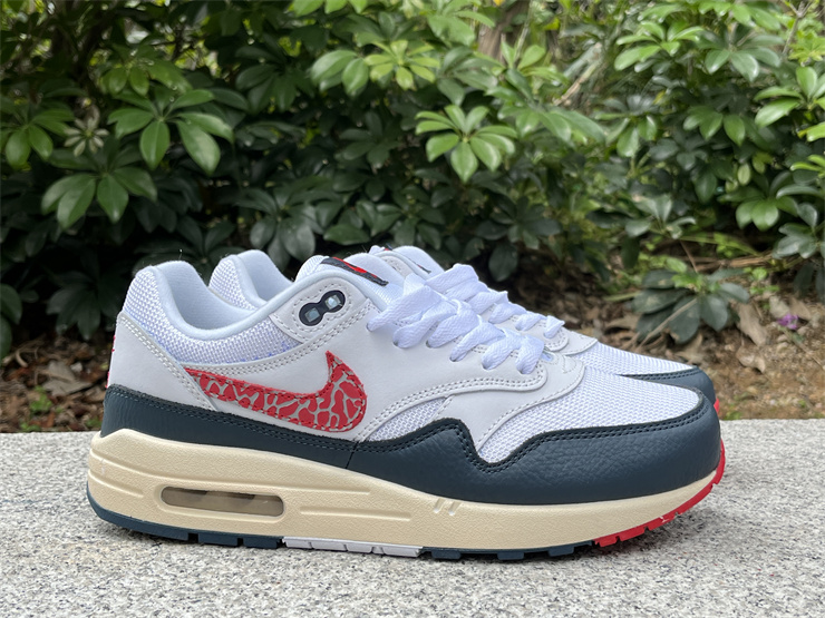 Nike Air Max 1 DH1348-146