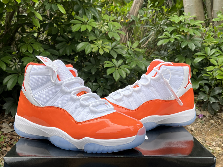 Air Jordan 11 378037-002
