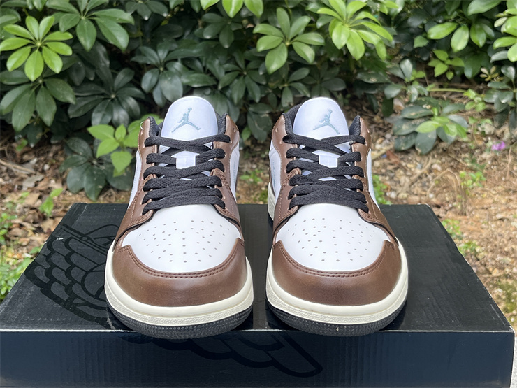 Air Jordan 1 Low  FQ7832-142