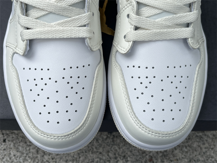 Air Jordan 1 Low  FV8486-181