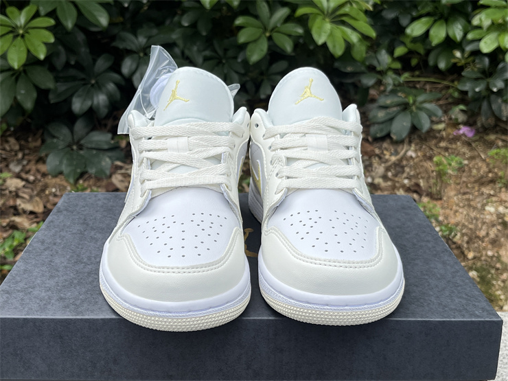 Air Jordan 1 Low  FV8486-181