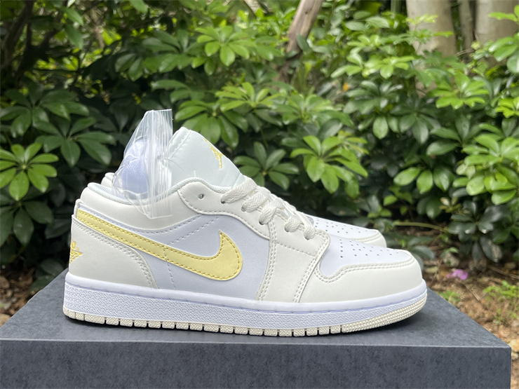 Air Jordan 1 Low  FV8486-181