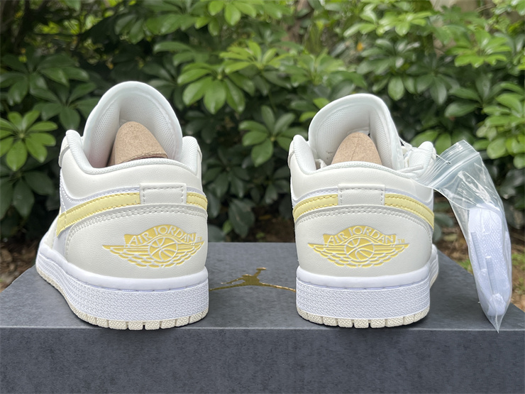 Air Jordan 1 Low  FV8486-181