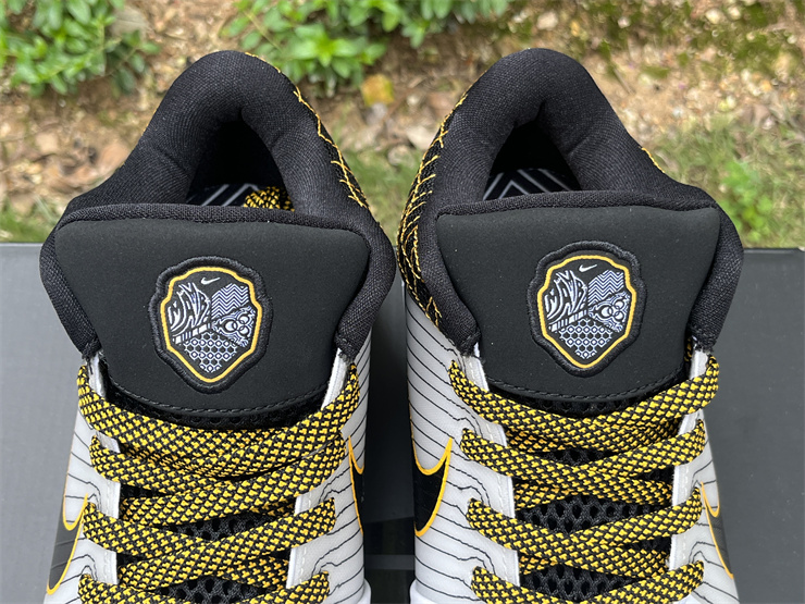 Nike Kobe 4 Protro “Del Sol”