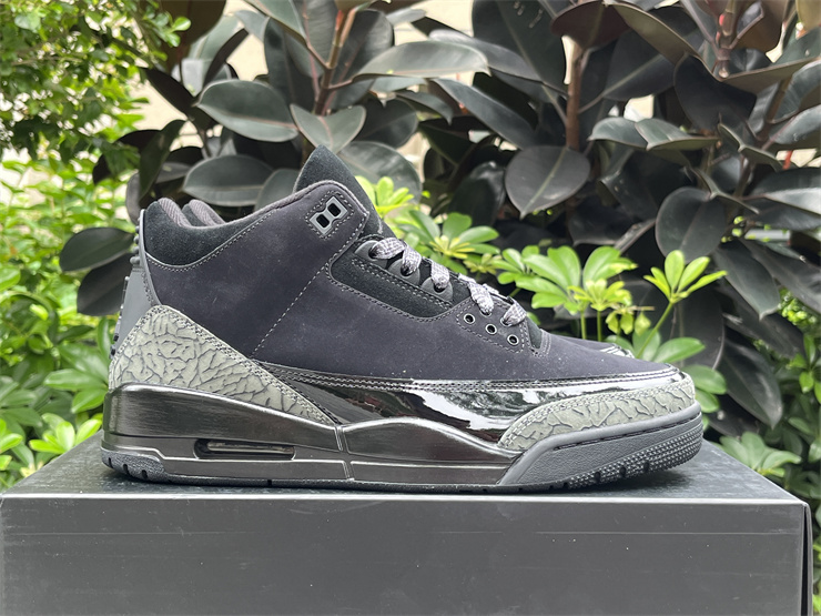 Air Jordan 3  CK9246-168