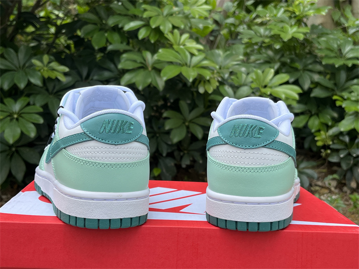 Nike Dunk Low  FD9911-101