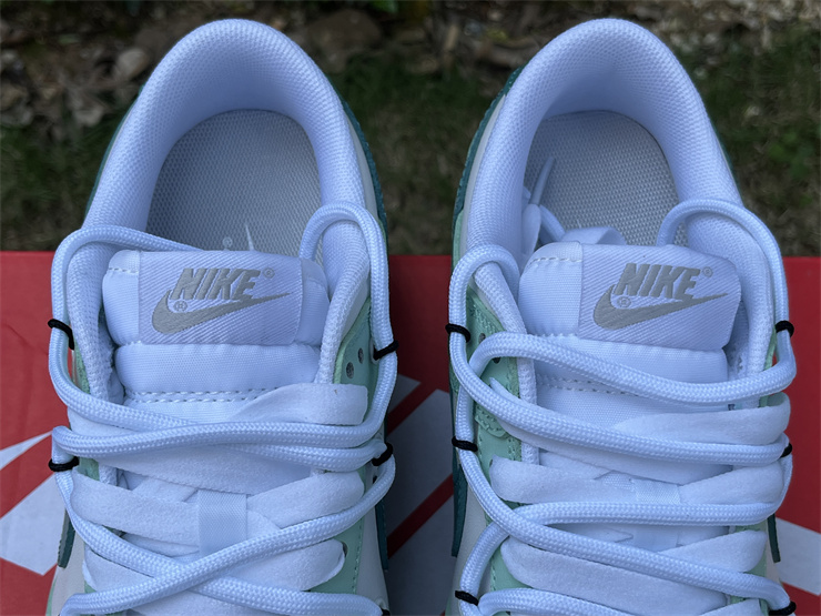 Nike Dunk Low  FD9911-101