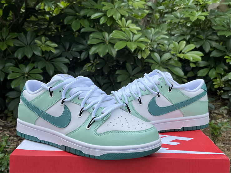 Nike Dunk Low  FD9911-101