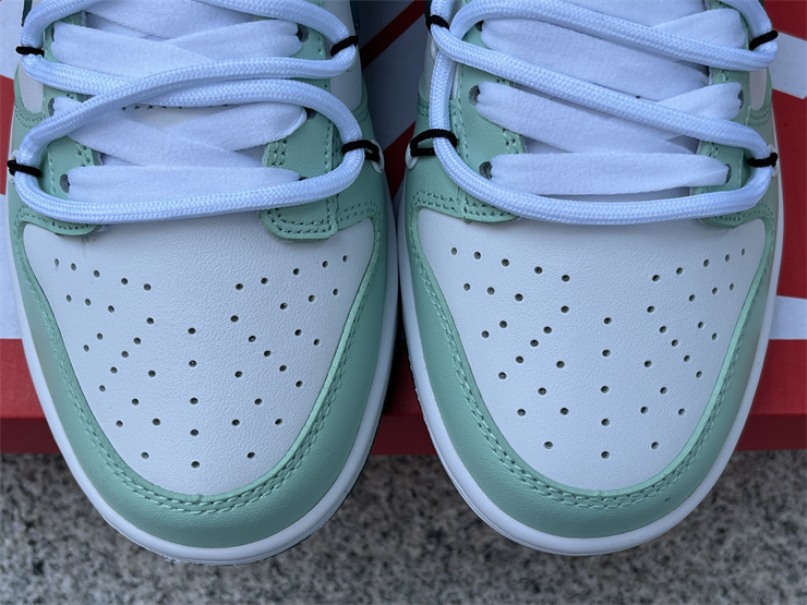 Nike Dunk Low  FD9911-101