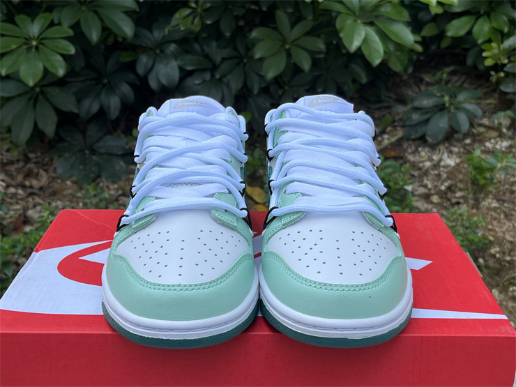 Nike Dunk Low  FD9911-101